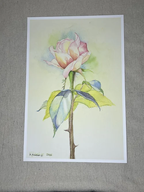 Rose (Print)