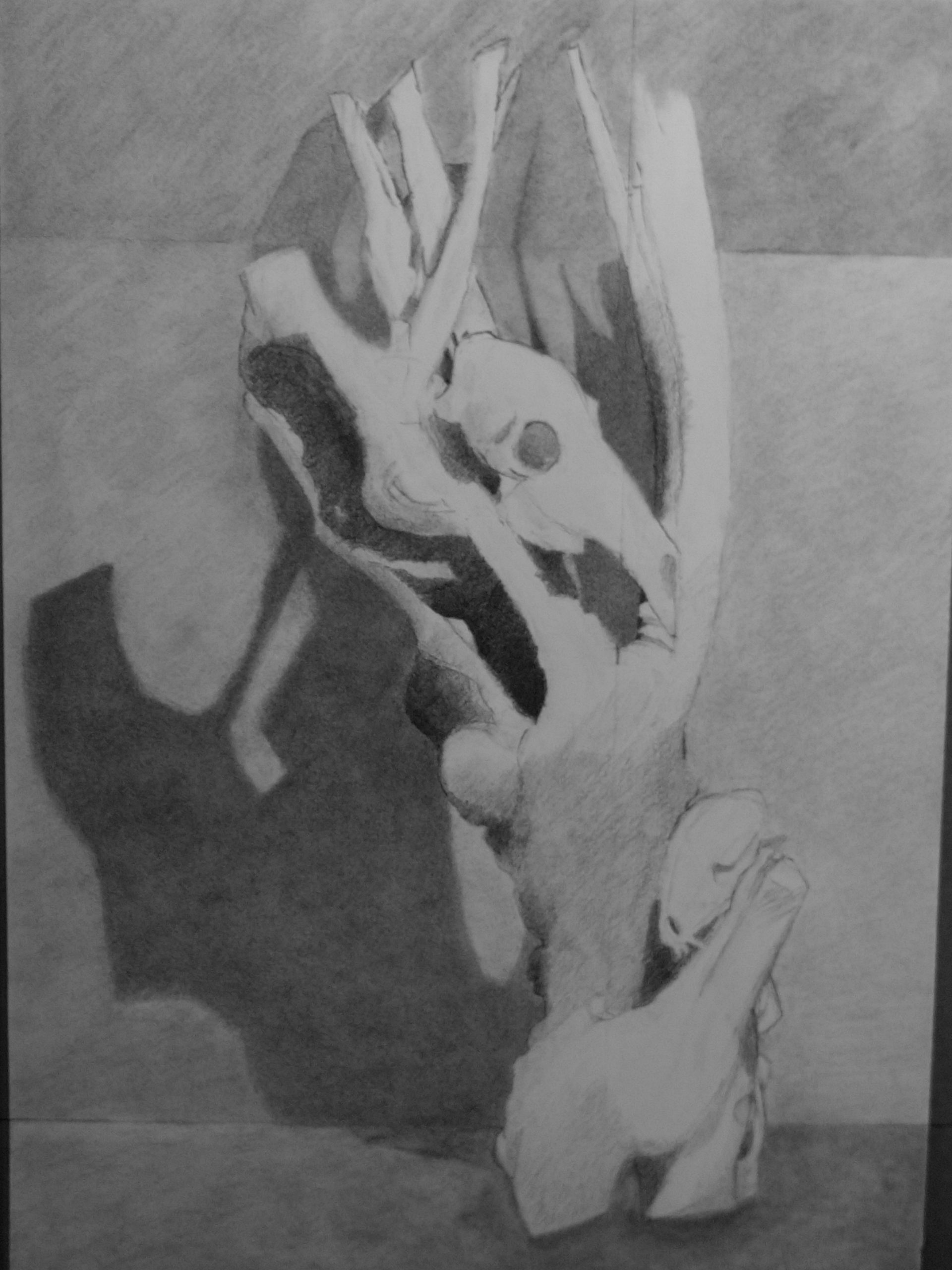 IMG_20190405_175016332-scaled