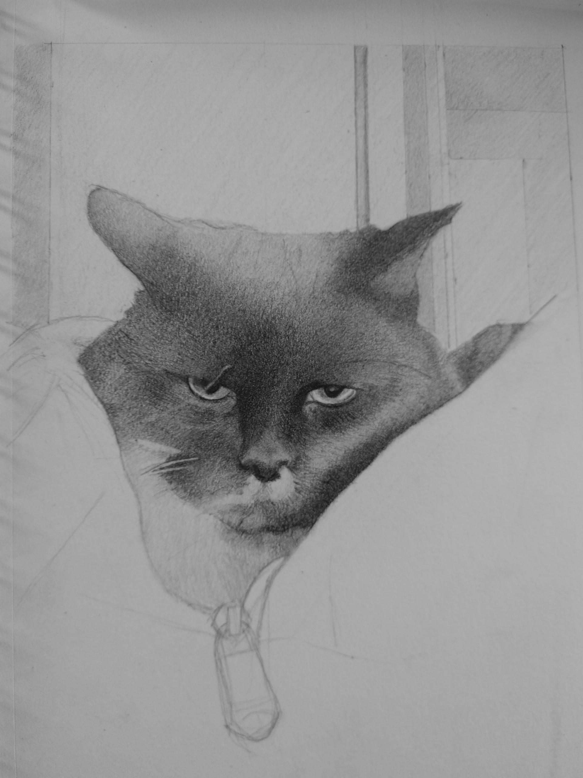 IMG_20190607_072449892-scaled