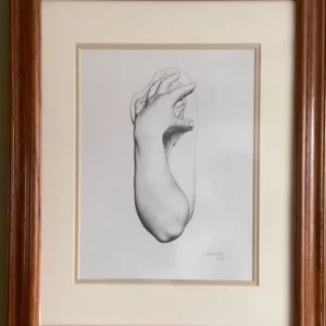 Classical Arm (Original Art Work Framed)