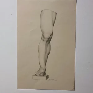 Classical Leg (Original Art Work)